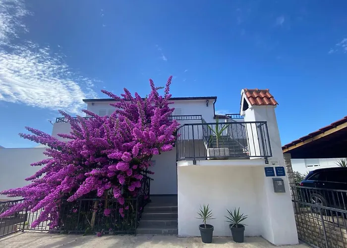 Dvoshko בית הארחה 3*